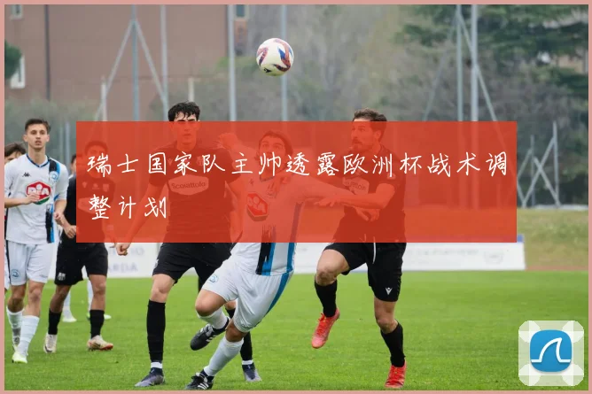 瑞士国家队主帅透露欧洲杯战术调整计划