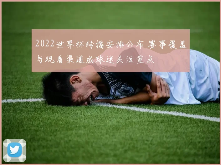 2022世界杯转播安排公布 赛事覆盖与观看渠道成球迷关注重点
