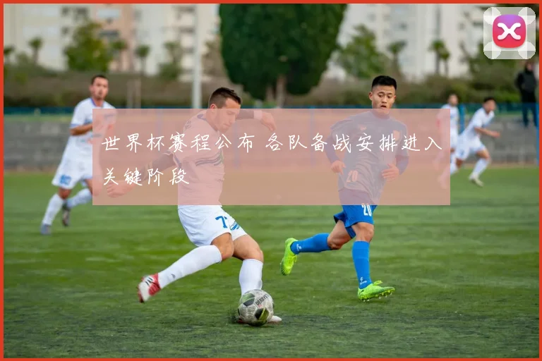 世界杯赛程公布 各队备战安排进入关键阶段