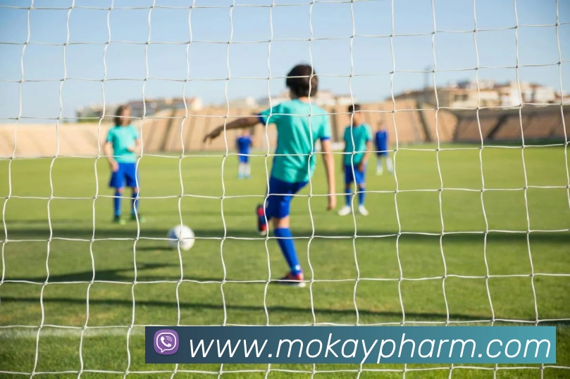 乐竞官网网页版入口平台生态图